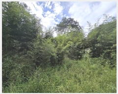  2024Ÿ6278  ﱺ  Ӹ 270      ()