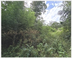  2024Ÿ6278  ﱺ  Ӹ 270      ()