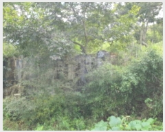  2024Ÿ6278  ﱺ  Ӹ 270      ()