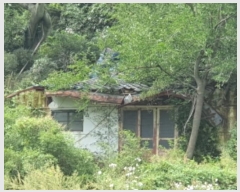  2024Ÿ6278  ﱺ  Ӹ 270      ()