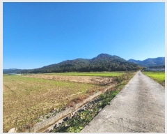  2024Ÿ��6476 ���� ���ﱺ ���� ���ָ� 482-3      ����(��)���