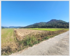  2024Ÿ��6476 ���� ���ﱺ ���� ���ָ� 482-3      ����(��)���