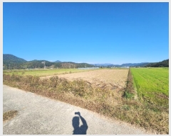  2024Ÿ��6476 ���� ���ﱺ ���� ���ָ� 482-3      ����(��)���