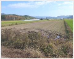  2024Ÿ��6476 ���� ���ﱺ ���� ���ָ� 482-3      ����(��)���