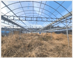  2024Ÿ��6612  ��Ÿ�������