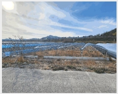  2024Ÿ��6612  ��Ÿ�������