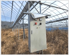  2024Ÿ��6612  ��Ÿ�������