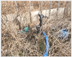  2024Ÿ��6612  ��Ÿ�������