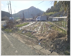  2024Ÿ��41 ���� ���ﱺ ���� ����� 214-1      ����(��)���