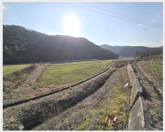  2024Ÿ��41 ���� ���ﱺ ���� ����� 214-1      ����(��)���