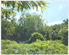  2024Ÿ��249 ���� ���ﱺ ����� ���긮 ��166      ����(�Ӿ�)���