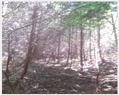  2024Ÿ��249 ���� ���ﱺ ����� ���긮 ��166      ����(�Ӿ�)���