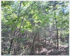  2024Ÿ��249 ���� ���ﱺ ����� ���긮 ��166      ����(�Ӿ�)���