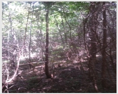  2024Ÿ��249 ���� ���ﱺ ����� ���긮 ��166      ����(�Ӿ�)���