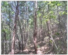  2024Ÿ��249 ���� ���ﱺ ����� ���긮 ��166      ����(�Ӿ�)���