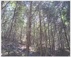  2024Ÿ��249 ���� ���ﱺ ����� ���긮 ��166      ����(�Ӿ�)���