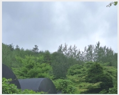  2024Ÿ��249 ���� ���ﱺ ����� ���긮 ��166      ����(�Ӿ�)���