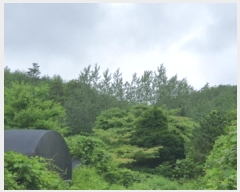  2024Ÿ��249 ���� ���ﱺ ����� ���긮 ��166      ����(�Ӿ�)���