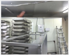  2024Ÿ��287  ������