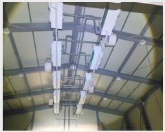  2024Ÿ5343  ﱺ Ⱦ 긮 242-11      ,â