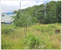  2024Ÿ5886     59-4      ()