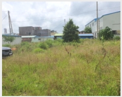  2024Ÿ5886     59-4      ()