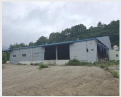  2024Ÿ��5923 ���� ���ﱺ ���� ��긮 5-1      ������