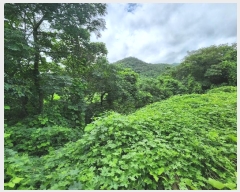  2024Ÿ��5923 ���� ���ﱺ ���� ��긮 5-1      ������