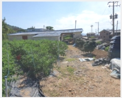  2024Ÿ6223  ﱺ Ⱦ  37-4      (1)