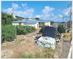  2024Ÿ6223  ﱺ Ⱦ  37-4      (1)