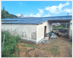  2024Ÿ6223  ﱺ Ⱦ  37-4      (1)