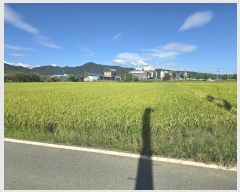  2024Ÿ6261     68-24      ()