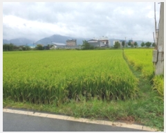  2024Ÿ6261     68-24      ()