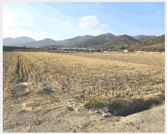  2024Ÿ��6421  �Ӿ߰��