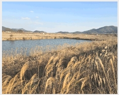  2024Ÿ��6421  �Ӿ߰��