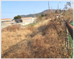  2024Ÿ6629  ﱺ  ǻ긮 571-7      ()