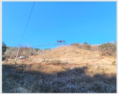  2024Ÿ��6667 ���� ���ﱺ ������ ���Ҹ� 80      ����(��1)���