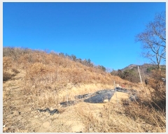  2024Ÿ��6667 ���� ���ﱺ ������ ���Ҹ� 80      ����(��1)���