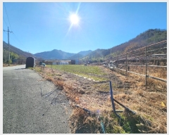  2024Ÿ��6667 ���� ���ﱺ ������ ���Ҹ� 80      ����(��1)���