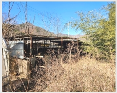  2024Ÿ��6667 ���� ���ﱺ ������ ���Ҹ� 80      ����(��1)���