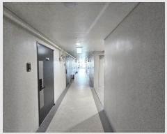  2024Ÿ��4213 ���� ������ ������ 233, 8��814ȣ (�е�,����Ʈ���е�)     ���ǽ��ڰ��