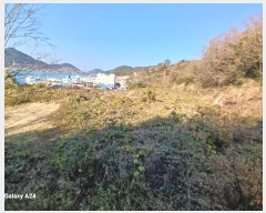  2024Ÿ5308  ﱺ  űݸ 1130      ()