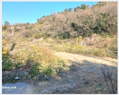  2024Ÿ5308  ﱺ  űݸ 1130      ()