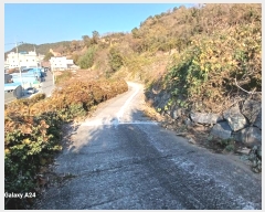  2024Ÿ5308  ﱺ  űݸ 1130      ()