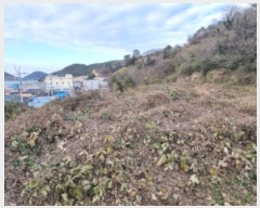  2024Ÿ5308  ﱺ  űݸ 1130      ()