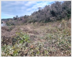  2024Ÿ5308  ﱺ  űݸ 1130      ()