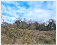  2024Ÿ5308  ﱺ  űݸ 1130      ()