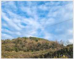  2024Ÿ5308  ﱺ  űݸ 1130      ()