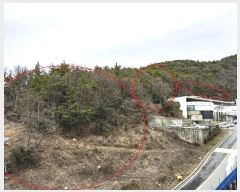  2024Ÿ��51455 ���� ������ ���赿 ��129-1       ����(�Ӿ�)���