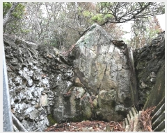  2024Ÿ��51455 ���� ������ ���赿 ��129-1       ����(�Ӿ�)���